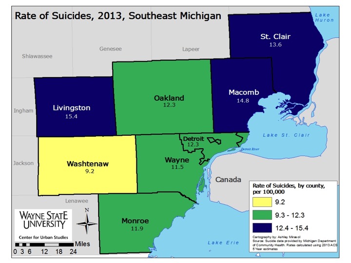 Southeastern Michigan Suicide Rate