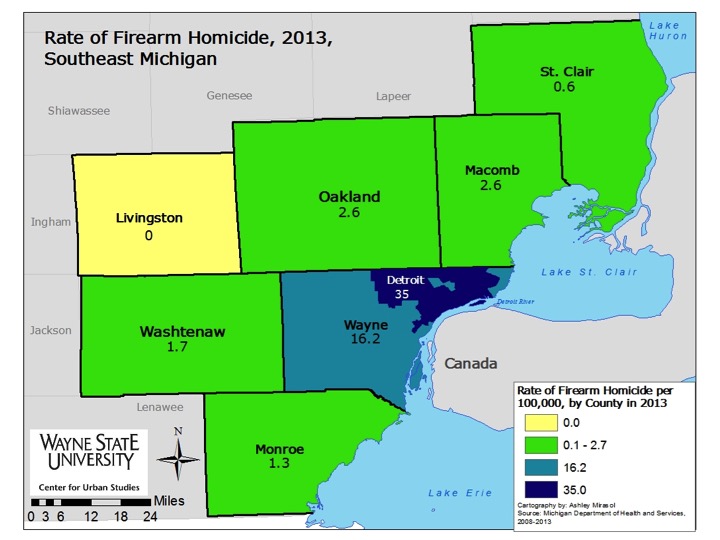 2013 Firearm Homicides