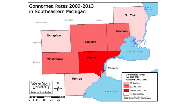 Detroit Gonnorhea rates 2013