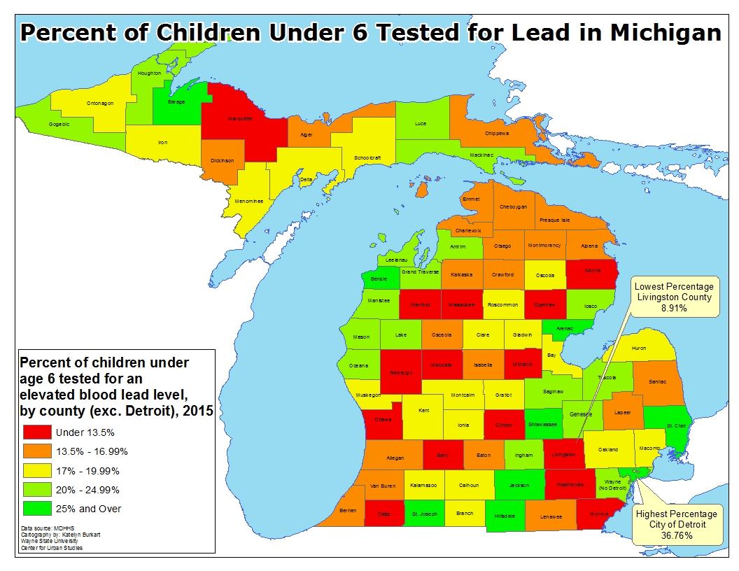 Michigan Lead Testing