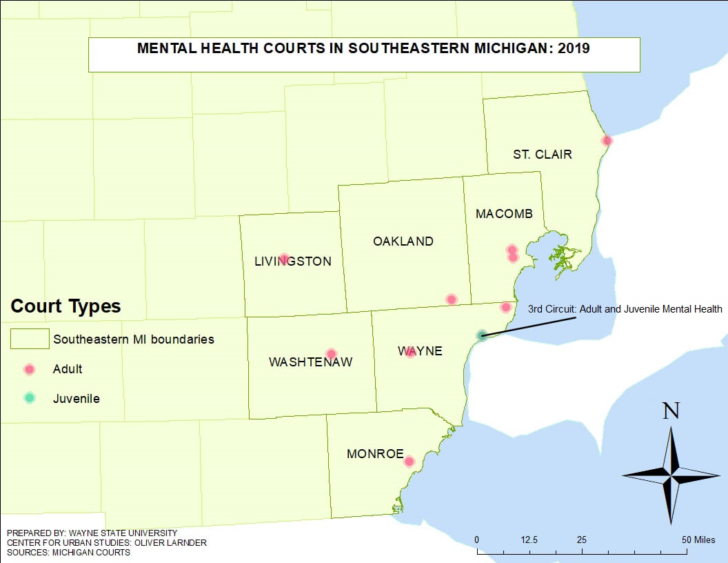 Problem Solving Courts Aim to Address Substance Use and Mental Health ...
